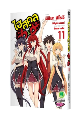 HighSchool DxD 11 (Cover)-LAY-