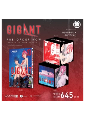 GIGANT-10-+-BOX-AW_0 (1)